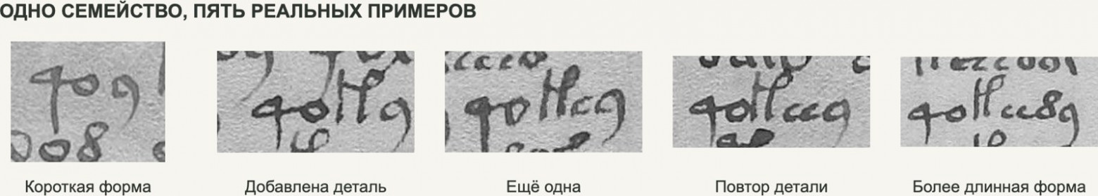 Слева направо внутренняя часть усложняется, а края остаются сходными. Все пять фрагментов взяты из рукописи. Для сравнения они собраны из разных мест — это не одна исходная строка.
